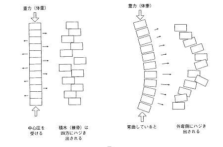 image-hajikidai