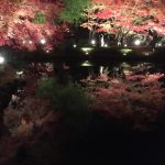 紅葉を見に行きました！の詳細へ