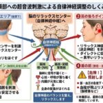 頚部への超音波照射が自律神経を調整します！の詳細へ